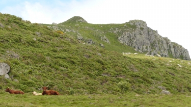 PUY DE SECHEUSE-cantal
