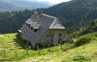 DU LIORAN AU PUY MARY-cantal