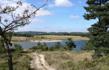 GR4 - PARTIE 4-cantal