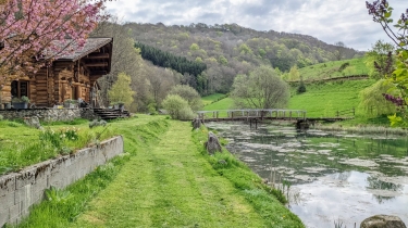 PETITE BOUCLE DE 11 KM AU DEPART DE CONDAT-cantal