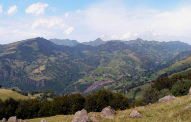 DECOUVERTE DES ESTIVES-cantal
