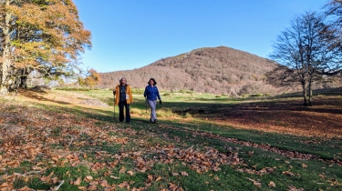 PETITE RANDONNEE VERS UNE COLLINE INCONNUE DE 1500M-cantal