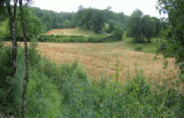 GR652 - PARTIE 1-cantal