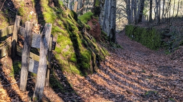 CIRCUIT AUTOUR DE GIRGOLS AU DEPART DE BRUEL-cantal