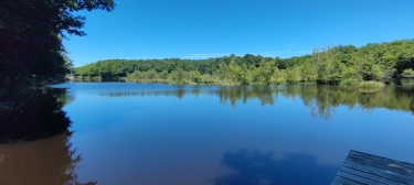 RIOM-ES-MONTAGNE (15) - ETANGS DE ROUSSILLOU ET DES BONDES-cantal