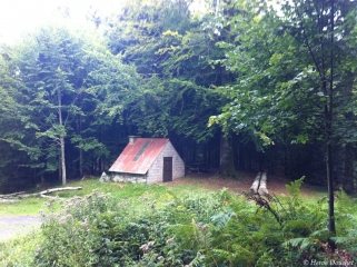 LE ROI DES MAUBERTS-cantal