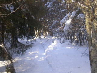 RAQUETTES A SAINT-URCIZE-cantal