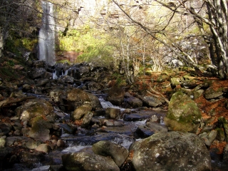 CASCADE DU SAUT DE LA TRUITE-cantal