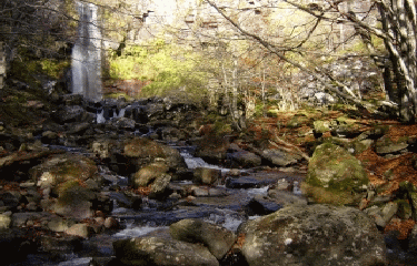CASCADE DU SAUT DE LA TRUITE-cantal