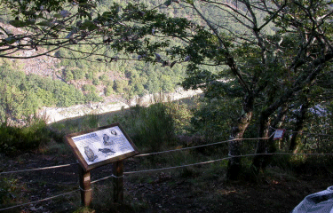 DECOUVERTE DES OISEAUX-cantal