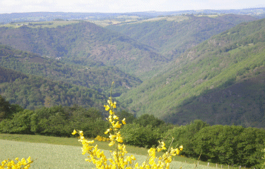 GRAND VABRE - VALLEE DU DOURDOU-cantal