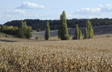 BRIE-SOUS-CHALAIS-charente