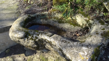 CHAMPMILLON - BORD DE LA CHARENTE -charente