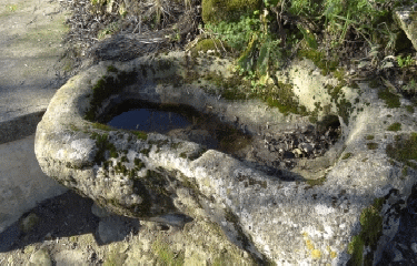 CHAMPMILLON - BORD DE LA CHARENTE -charente