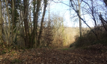 LA CHEVRERIE-charente