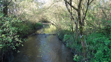 SAINT-MICHEL-charente