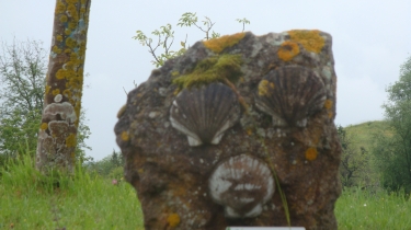 AUBETERRE-SUR-DRONNE - LES ESSARDS-charente