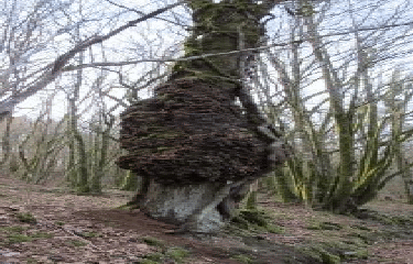 PARZAC - TIERSE - SENTIER INTERPRETATION-charente