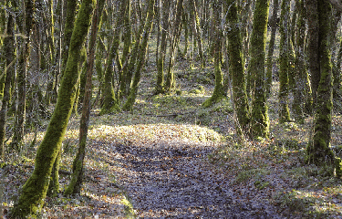 FOUQUEBRUNE-charente