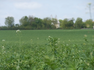 VILLEFAGNAN - MOULIN DES PIERRES BLANCHES-charente