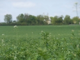 VILLEFAGNAN - MOULIN DES PIERRES BLANCHES-charente