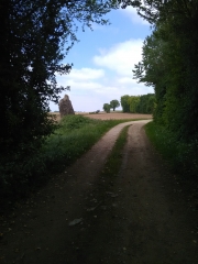 VILLE ET PLAINE DE VILLEFAGNAN-charente