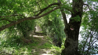 CIRCUIT DE VINDELLE-charente