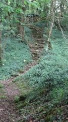 SAINT-LAURENT-DE-CERIS-charente