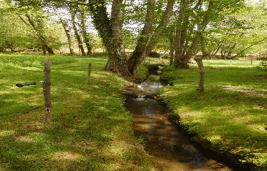 LE TATRE 11 KM-charente