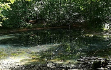 LE LAC NOIR - BOIS DE LA BRACONNE-charente