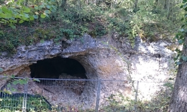 FORET DE LA BRACONNE-charente