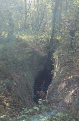 FORET DE LA BRACONNE-charente