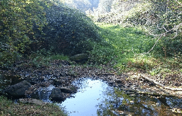 VALLEE DE LA RENAUDIE-charente