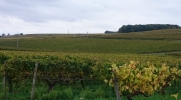 SAINT PREUIL-charente