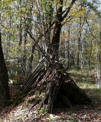 VERVANT - LA COMBE NOIRE-charente