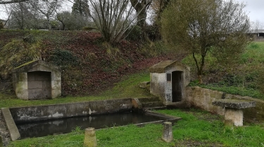 CLOULAS - LES FORGES-charente