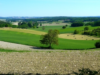 LES TROIS CANTONS-charente