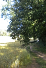 MAGNAC-SUR-TOUVRE - LES PIRONS-charente