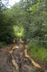 LA BRACONNE - LA FONTAINE ET LES FOSSES-charente