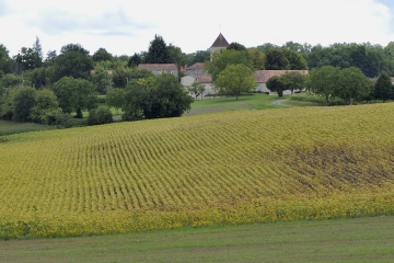 OUEST DE JUIGNAC -charente