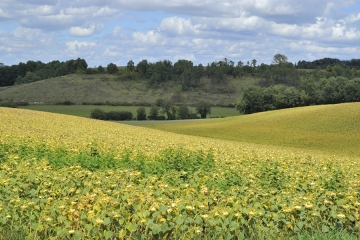 OUEST DE JUIGNAC -charente