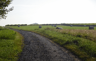 BASSAC 8 KM-charente