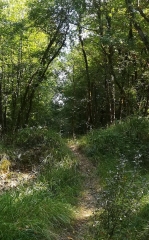 LA GRANDE FOSSE - JAULDES-charente