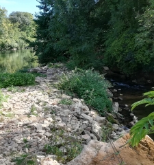 MANSLE - SANT GROUX-charente