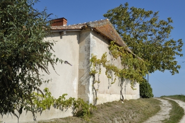 SAINT-LAURENT-DE-BELZAGOT-charente