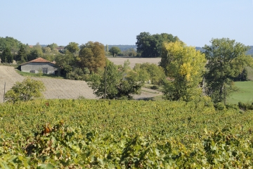 SAINT-LAURENT-DE-BELZAGOT-charente