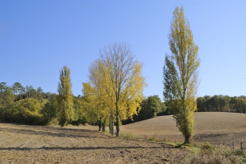 SAINT-AMANT-DE-MONTMOREAU-charente