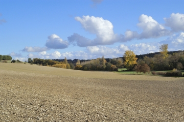 VELONDE - BRUCHIER-charente