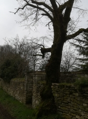 BRIE - LES FRAUDS-charente