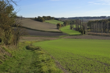 SAINT-AMANT SUD-charente